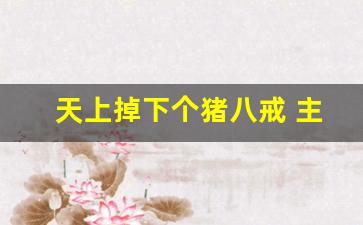 天上掉下个猪八戒 主演是谁_新猪八戒演员是谁